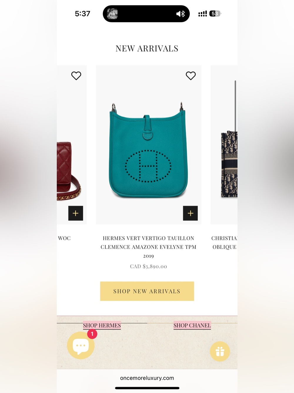 Hermès Evelyne TPM Crossbody – Turquoise 2019 - Picture 9 of 9
